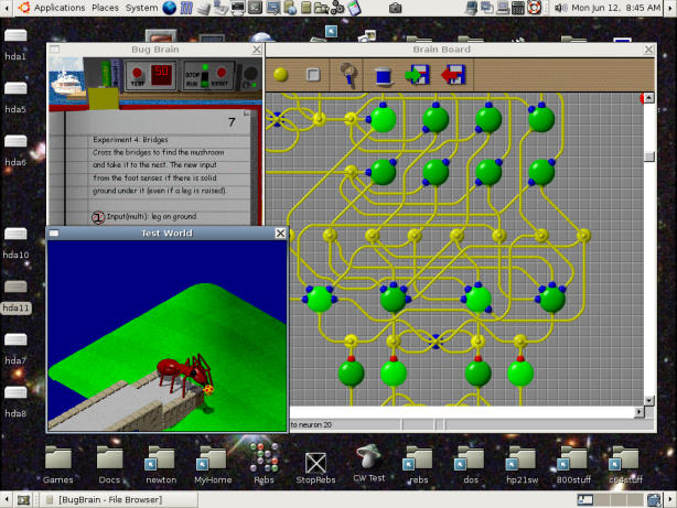Picture of BugBrain